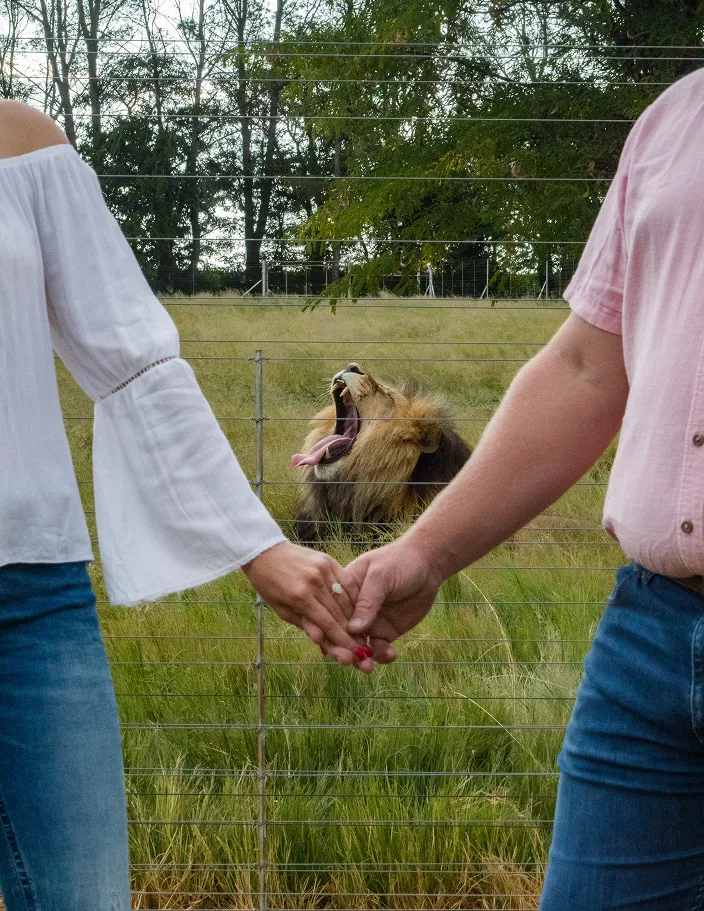 Couple with loin at the background